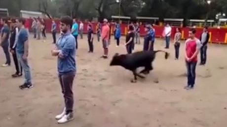 Video impactante: Un toro salta a una plaza llena de gente y… se limita a buscar una salida