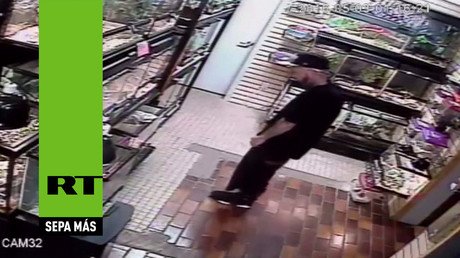 "Tenga una pitón en mis pantalones": Un ladrón tiene una extraña afición por las serpientes