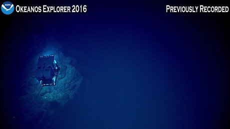 Video desde el lugar más profundo del océano: Así es la Fosa de las Marianas