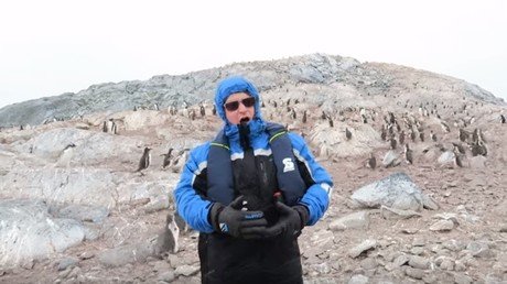 Unos pingüinos huyen despavoridos al escuchar a un cantante de ópera