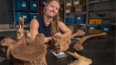 Norteamérica fue habitada 1.500 años antes de lo que se creía