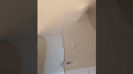 Esto es lo que puede pasar si deja a su gato solo en casa