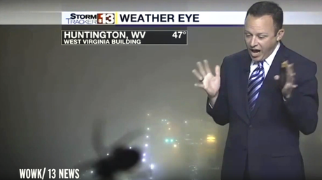 Así reaccionó este presentador del tiempo al ver a una araña en directo