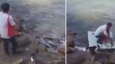 Un gato se va de pesca junto a su dueño