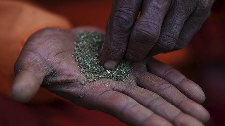 Así es la droga extraída de la marihuana que levanta pasiones y alarma en EE.UU.