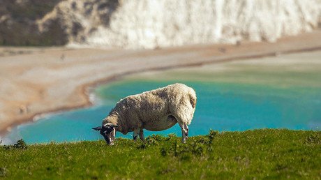 La granja de 1,4 millones de dólares que se alquila por menos de 2 dólares al año