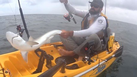Pesca un tiburón y casi le cuesta una pierna