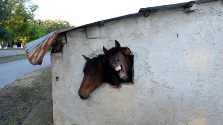 Las fotos de esta semana que le subirán el ánimo