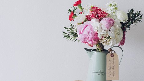 Monsanto patenta una rosa que no se marchita