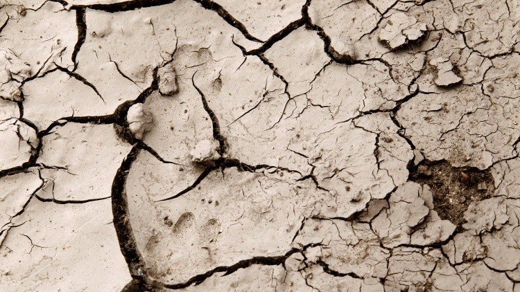 ¿Viento eléctrico a la vista? La Tierra puede compartir el destino de Venus y Marte 