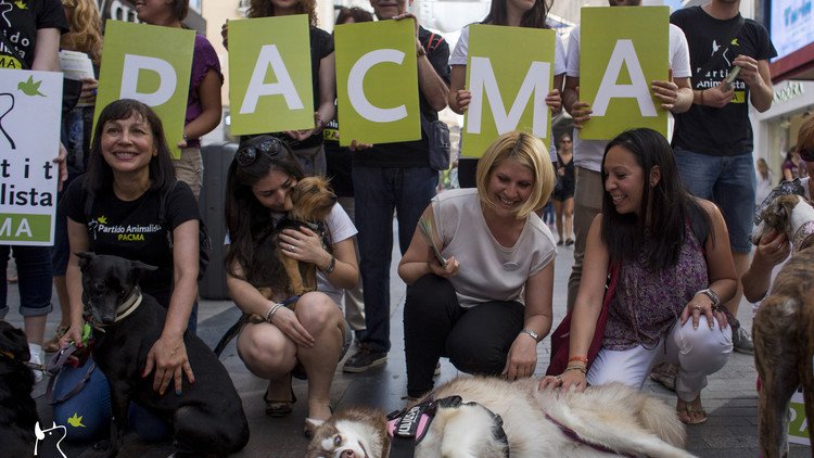 Candidata española a RT: "La violencia es un concepto universal que no diferencia a sus víctimas"