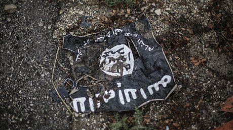 Viceprimer ministro turco: "La coalición no tiene ni idea de cómo derrotar al Estado Islámico"