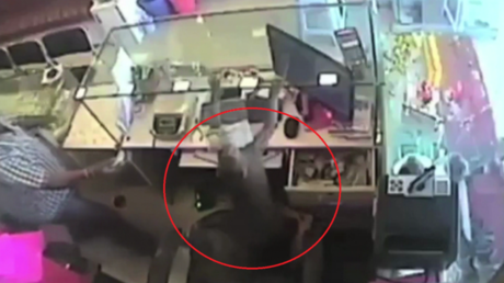 Un mono roba una joyería en la India 'armado' con una guayaba