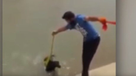 Un sij se quita el turbante para salvar a un perro en la India