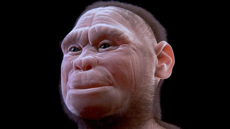 Punto y final al misterio del 'hobbit' indonesio