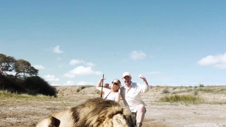Una pareja de cazadores mata a un león y un congénere se venga