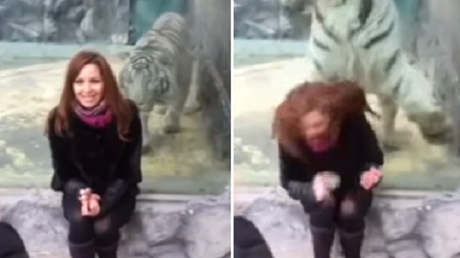 Una joven rusa provoca el 'ataque' de un enorme tigre blanco