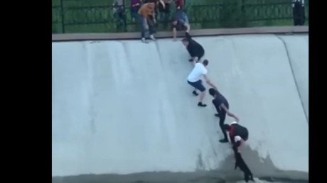 Digno de elogiar: Un grupo de jóvenes se las ingenia para salvar a un perro que se cayó a un río