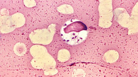 El origen de la vida: ¿Se ha resuelto el misterio más largo en la biología moderna?