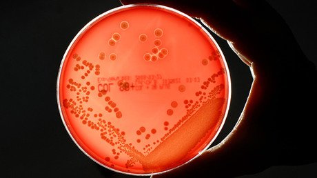 Hallan una insólita causa de enfermedades humanas