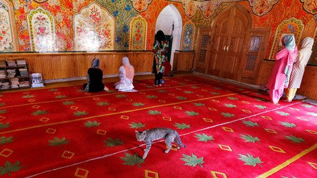 Imágenes de la semana que querrá mirar dos veces