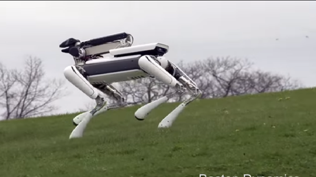 'Doggie droid', un perrito que sube las escaleras y se levanta solo, pero no comparte la bebida