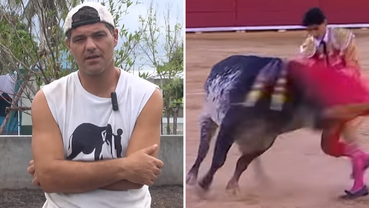 Contundente mensaje de un antitaurino contra los que se alegraron con la muerte del torero español