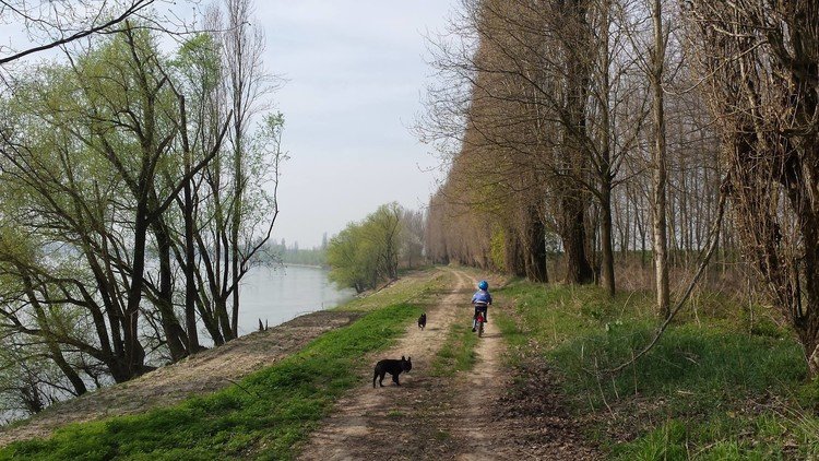 Marco, el niño motociclista que dio vida después de morir