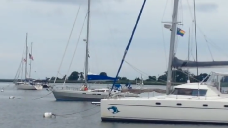 ¡Mapache a bordo! El rescate de un pequeño visitante inesperado