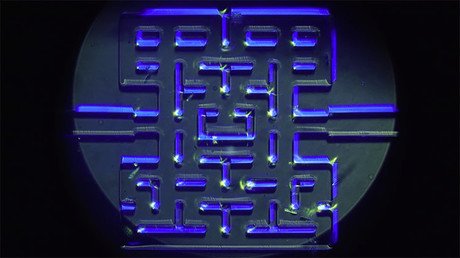 ¿Por qué estos científicos noruegos quieren que los microorganismos jueguen al Pac-Man? (video)