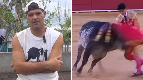Contundente mensaje de un antitaurino contra los que se alegraron con la muerte del torero español