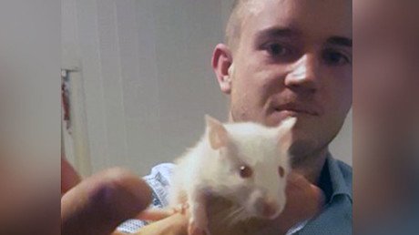 ¿Hay algo más desagradable y cruel?: Muerde la cabeza de una rata y se la traga con vodka