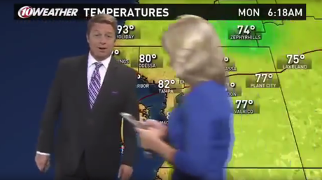 Parecen zombis: La fiebre del Pokémon GO invade un estudio de televisión