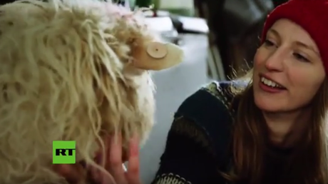 El Google 'Street View' a lo animal: Así crean mapas de 360º en medio del Atlántico