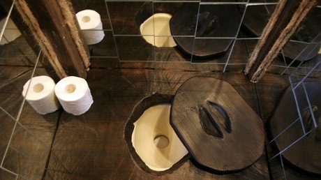 Parásitos de una letrina milenaria llevan a un importante descubrimiento científico