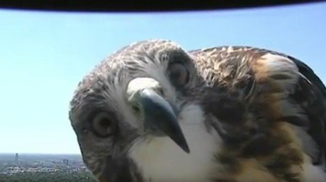 Cuando ves una cámara por primera vez 