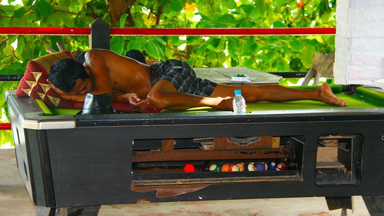 Un estudio sugiere que la pereza es signo de una gran inteligencia