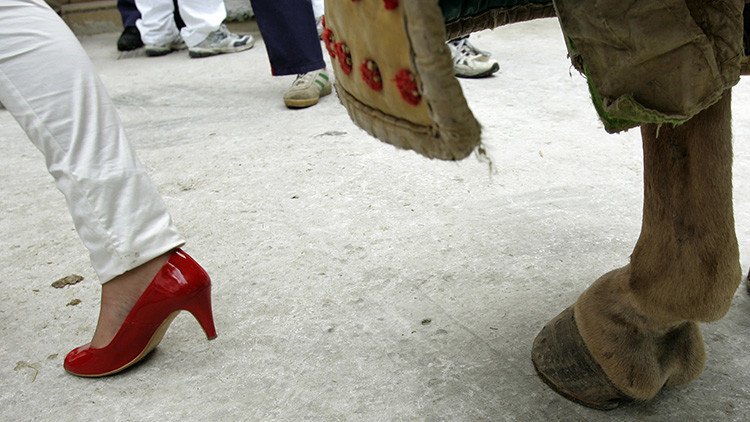 Los violadores de San Fermín "se jaleaban entre sí reclamando su turno"
