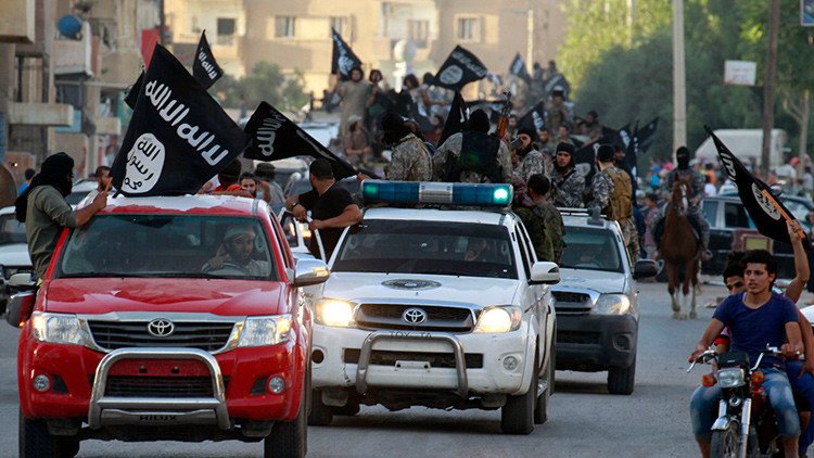 Un lobo que se aprovecha de la ignorancia: revelan que los combatientes del EI saben poco del islam