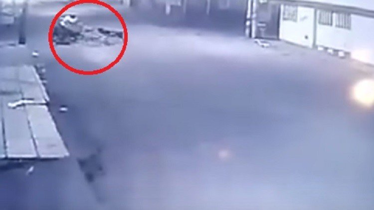 Unos 15 feroces perros callejeros atacan a una indefensa mujer (FUERTE VIDEO) 