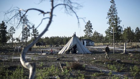 Carbunco: una grave enfermedad se despierta en el norte de Rusia