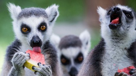 La otra cara de lo más sobresaliente de la semana