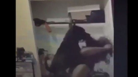 Empieza a bailar el 'twerking' y su perro la ataca