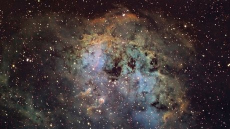 Científicos estadounidenses anuncian el descubrimiento de la quinta fuerza de la naturaleza