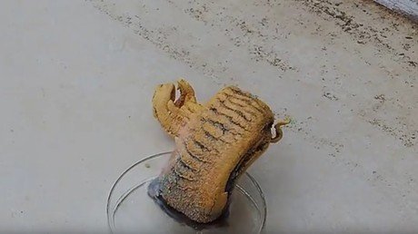 ¿Un portal al infierno? Una 'serpiente' aparece en un experimento