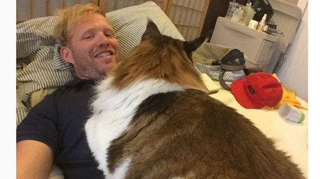 Fotos: El gato más grande de Nueva York conquista la Red