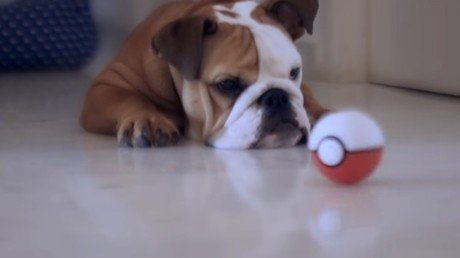 El rap sobre Pokémon Go que arrasa en la Red 