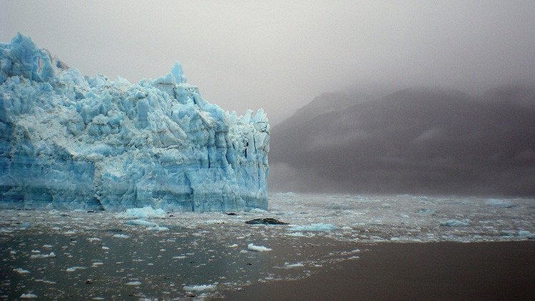 Revelan qué animal se extinguirá primero por el calentamiento global