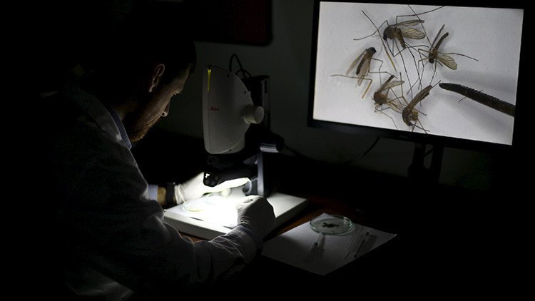 Impulsores genéticos: ¿Un "arma biológica" para destruir especies?