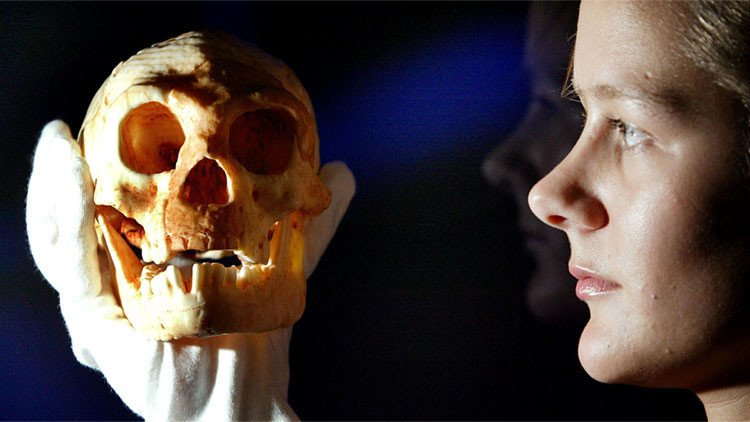  ¿'Hobbicidio'?: los humanos son sospechosos del genocidio de los 'hobbits' 